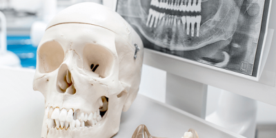 Importancia de la Odontología Forense en la Valoración de Daño